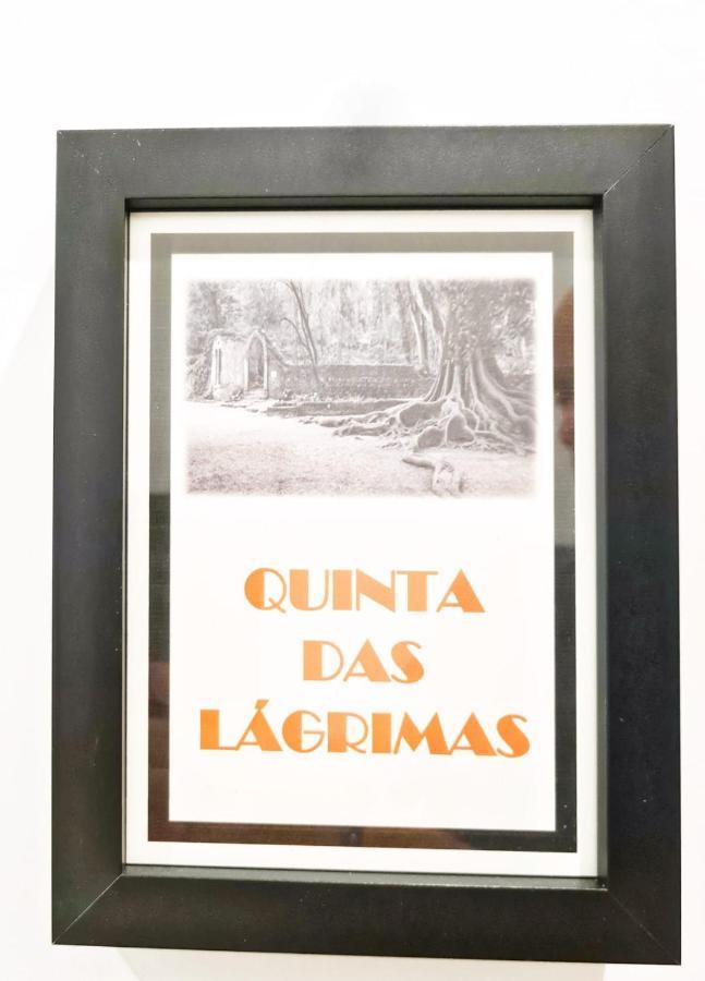 Coimbra City Charm מראה חיצוני תמונה
